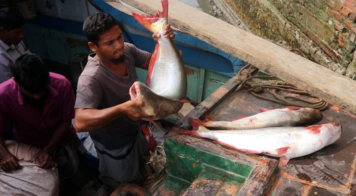 সরবরাহ কম থাকায় বরিশালে মাছের বাজার ঊর্ধ্বমুখী