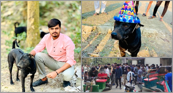 কুকুরের জন্মদিন পালনের পরদিনই টেঁটাবিদ্ধ করে হত্যা