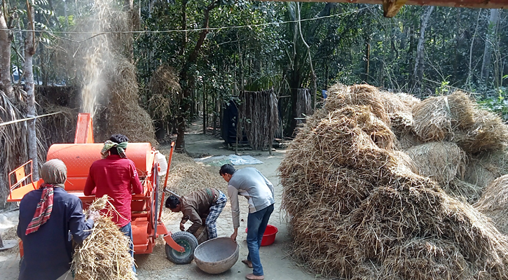 ঝালকাঠিতে আদি কৃষি পরিণত হচ্ছে আধুনিক কৃষিতে