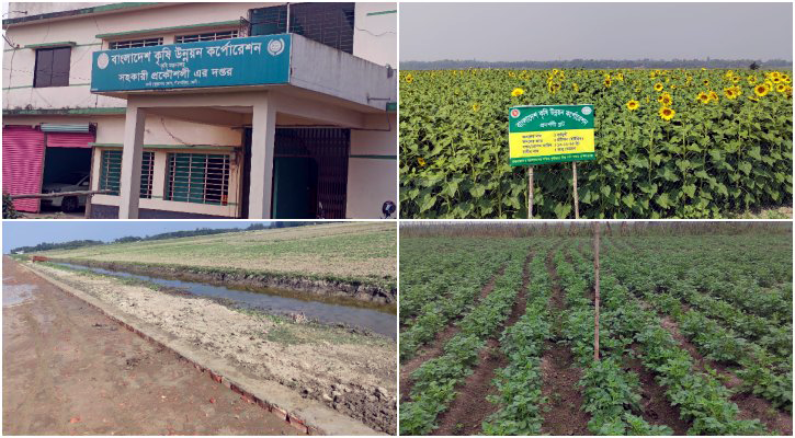 সোনাগাজীতে বীজ বর্ধন খামার স্থাপন প্রকল্প দ্রুত বাস্তবায়ন চায় এলাকাবাসী