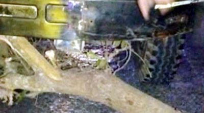 সড়কে গাছের গুঁড়ি ফেলে একাধিক গাড়িতে ডাকাতির অভিযোগ