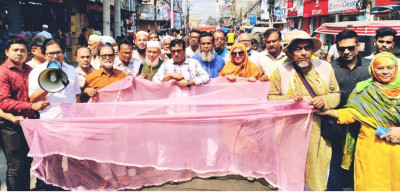 খুলনায় মশা নিধনের দাবিতে মশারী মিছিল