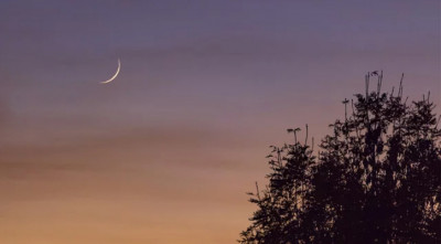 চাঁদ দেখা গেছে, রোজা শুরু রোববার