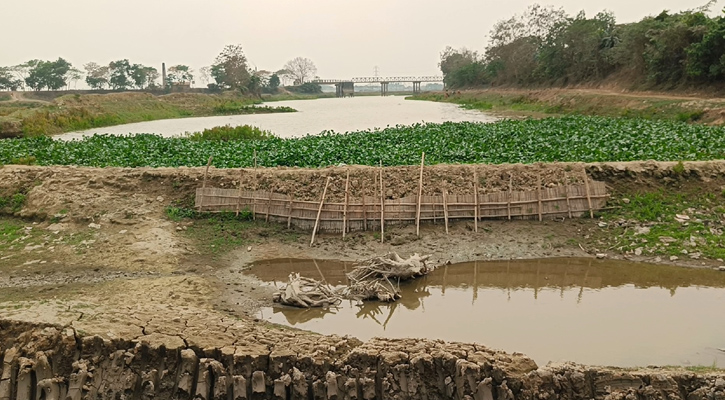 ব্রাহ্মণবাড়িয়ায় নদীতে বাঁধ দিয়ে মাটি লুট, হুমকিতে জীব-বৈচিত্র্য