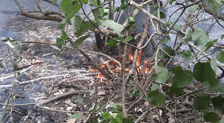 নতুন এলাকায় আগুন, এখনও পুড়ছে সুন্দরবন