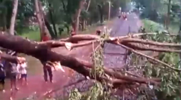 ঝড়ে রেললাইনে ভেঙে পড়ল গাছ, ট্রেন চলাচলে বিঘ্ন