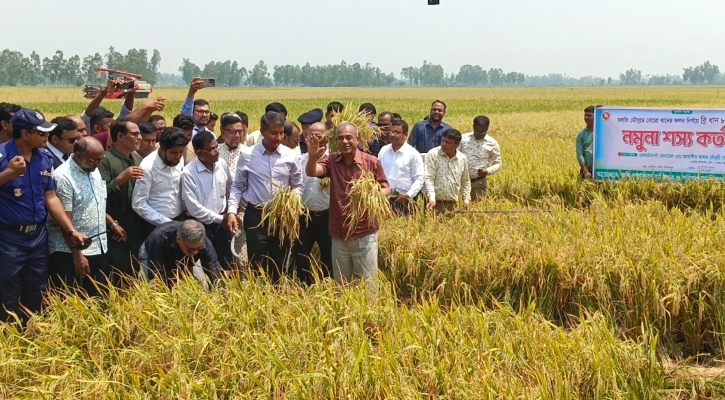 সীমান্ত সম্পূর্ণ নিরাপদ, কৃষিজমি সুরক্ষা আইন নতুনভাবে হবে: স্বরাষ্ট্র উপদেষ্টা 