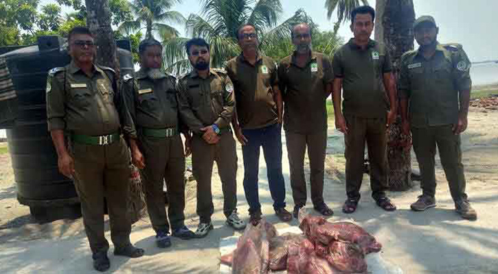সুন্দরবনে ৪২ কেজি হরিণের মাংস জব্দ