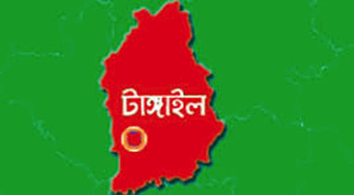 মির্জাপুরে লোবেটের পিছনে পিকআপভ্যানের ধাক্কা, চালকসহ নিহত ৩