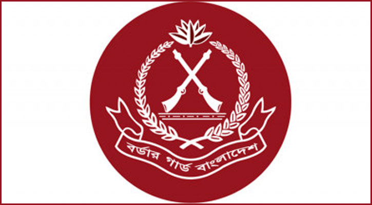 এপ্রিলে ১০১ কোটি টাকার চোরাচালান জব্দ বিজিবির