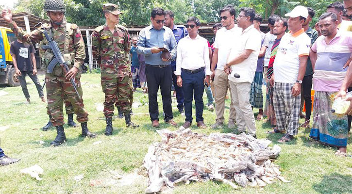 শ্যামনগরে চিংড়িতে অপদ্রব্য পুশের দায়ে ৫ জনকে জরিমানা