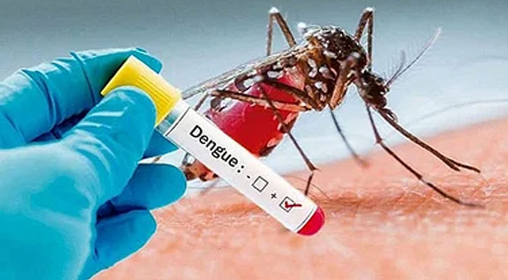 ডেঙ্গুতে মৃত্যু নেই, হাসপাতালে ভর্তি ৮৩