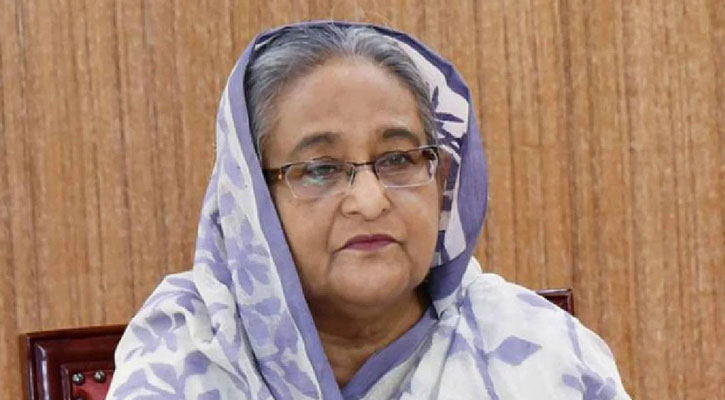 হলফনামায় ২২ একর জমির তথ্য গোপন করেছিলেন শেখ হাসিনা!