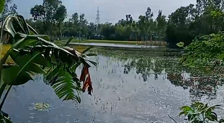 পলাশবাড়ীতে পানিতে ডুবে ২ শিশুর মৃত্যু
