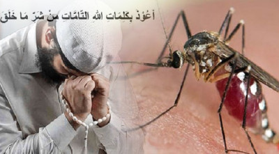 ডেঙ্গু মশাসহ বিষাক্ত পোকা-মাকড় থেকে রক্ষা পাওয়ার দোয়া