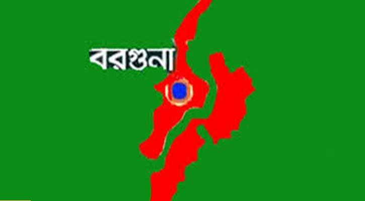 বরগুনায় ডেঙ্গুতে মায়ের মৃত্যু, শিশু সন্তান হাসপাতালে