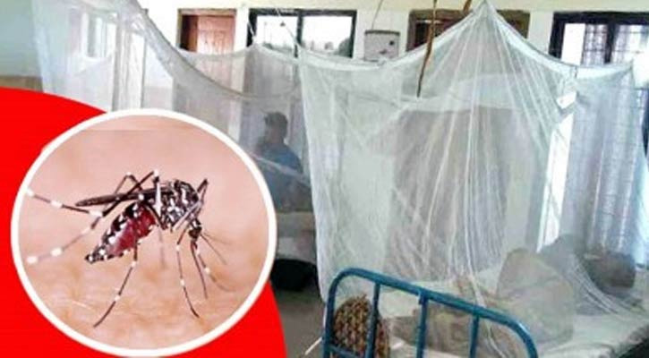 ডেঙ্গুতে আরও দুইজনের মৃত্যু, আক্রান্ত ১৯৫