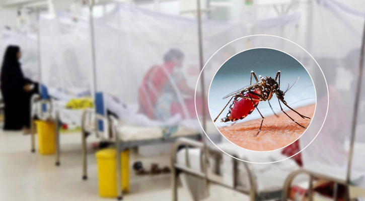 ডেঙ্গু আক্রান্ত ১০ হাজার ছাড়াল, ২৪ ঘণ্টায় শনাক্ত ৪২৯