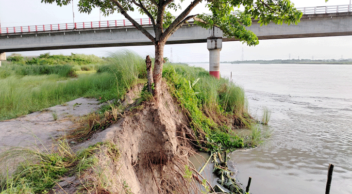 শিবচরে আড়িয়াল খাঁ নদের সেতুর কাছে পাড়ে ভাঙন
