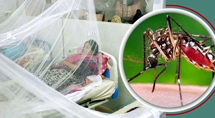 ডেঙ্গুতে দুইজনের মৃত্যু, আক্রান্ত ৩৩৭