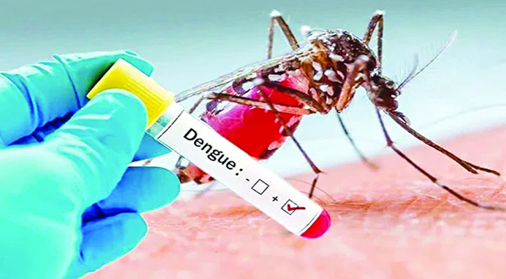 ডেঙ্গুতে একজনের মৃত্যু, হাসপাতালে ভর্তি ৩৯৪  