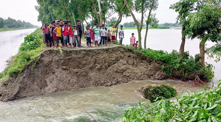নীলফামারীতে তিস্তা সেচ প্রকল্পের বাঁধ ভেঙে ৩০ একর জমির ফসল নষ্ট