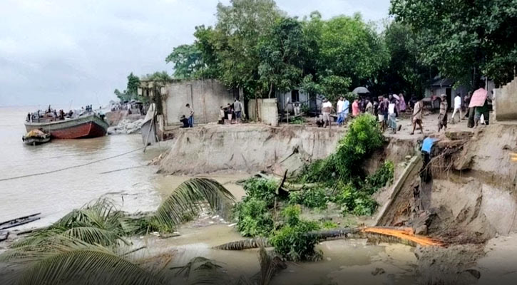 পদ্মা সেতুর জাজিরা প্রান্তে ফের ভাঙন, ঝুঁকিতে ৬০০ পরিবার