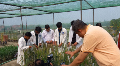 জলবায়ু পরিবর্তন নিয়ে মাহমুদ হাসানের তথ্যচিত্র নির্মাণ
