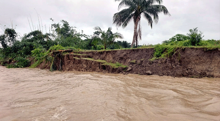 ফরিদপুরে মধুমতীর তীরে ভাঙন, অর্ধশতাধিক স্থাপনা বিলীন