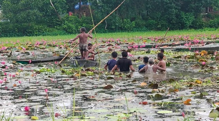 কাপাসিয়ায় বিলে নৌকা ডুবে দুইজনের মৃত্যু