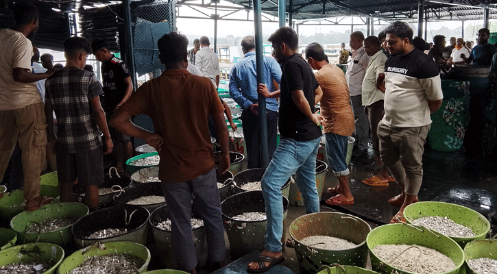 কাপ্তাই হ্রদে ফিরেছে কর্মচাঞ্চল্য