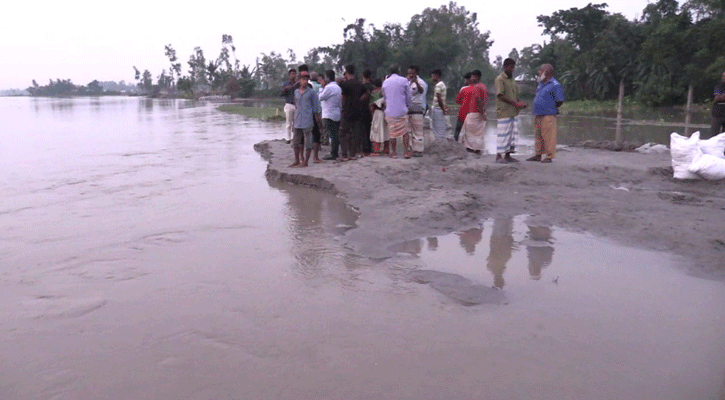 তিস্তায় পানি কমলেও, বেড়েছে ভাঙন আর দুর্ভোগ 