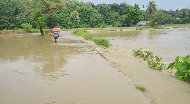 রাঙামাটিতে ৩০ হাজার মানুষ পানিবন্দি, প্রস্তুত ২৪৬ আশ্রয় কেন্দ্র