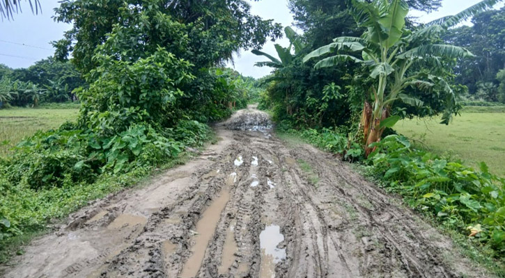 রাস্তা নয়, যেন কৃষিজমি!