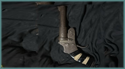 মুরগির খোয়ারে মিলল পিস্তল!