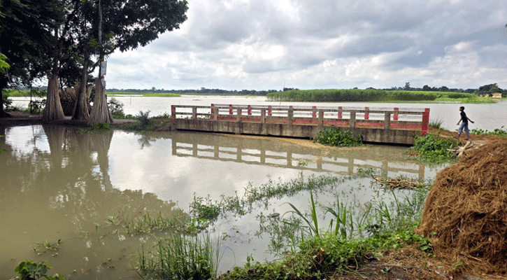 ফরিদপুরে পদ্মার পানি বিপৎসীমার ওপরে, ভোগান্তিতে নিম্নাঞ্চলের মানুষ