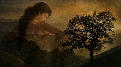 স্যাপফো: খণ্ডাংশ ৩১