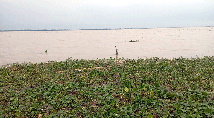 যমুনায় দ্রুত বাড়ছে পানি, প্লাবিত চরাঞ্চলের নিম্নভূমি