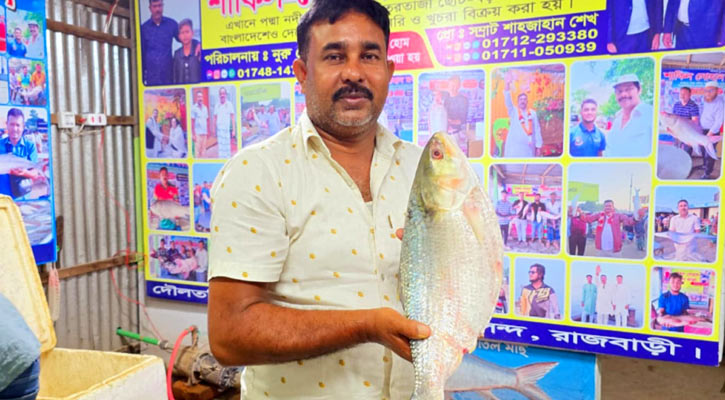 এক ইলিশের দাম সাড়ে ১৪ হাজার টাকা