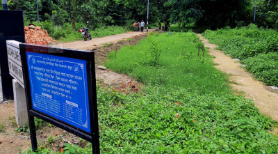 নামফলকহীন কবরের পাশে আজো অশ্রু ঝরে নীরবে