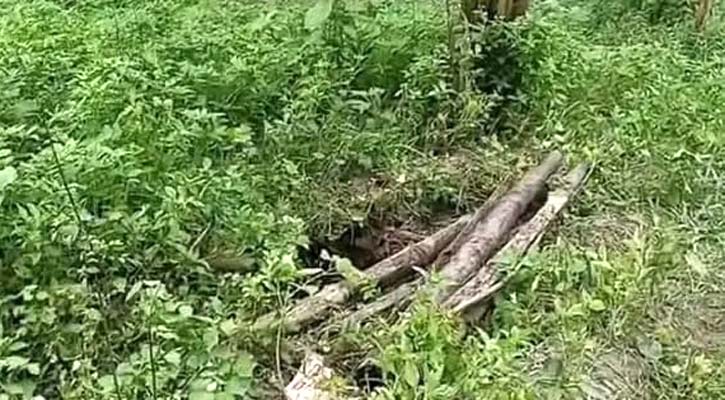 সাঘাটায় কবর থেকে ১৮ কঙ্কাল চুরি