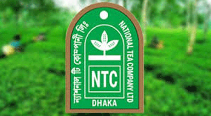 এনটিসির আড়াই লাখ শেয়ার কেনার ঘোষণা মামুন রশিদের