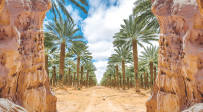 শ্রমিকদের প্রিয়ভাজন প্রিয় নবী (সা.)