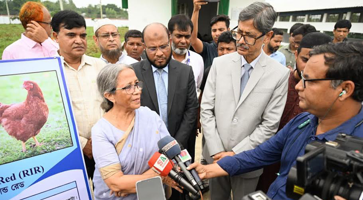 গবাদি প্রাণীতে অ্যান্টিবায়োটিকের ব্যবহার মানব স্বাস্থ্যের জন্য হুমকি: উপদেষ্টা