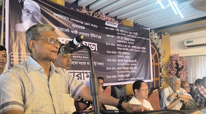 জুলাই সনদকে সংবিধানের ওপর দেওয়ার চেষ্টা করবেন না: সুব্রত চৌধুরী