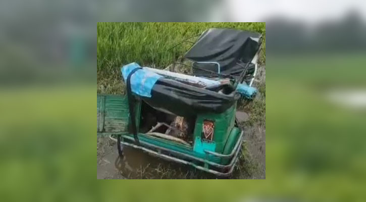 ব্রাহ্মণবাড়িয়ায় ট্রেনের ধাক্কায় অটোরিকশার চালকসহ নিহত ২
