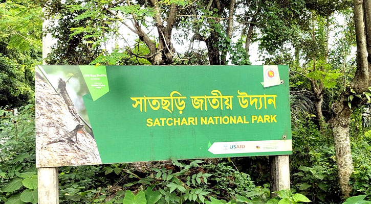 গাছ চুরির ঘটনায় সাতছড়ি-কালেঙ্গার কর্মকর্তাদের বদলির নির্দেশ