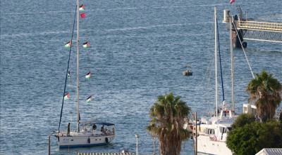 অনশন শুরু করেছেন ইসরায়েলের হাতে আটক ‘ফ্লোটিলা’র মানবাধিকারকর্মীরা