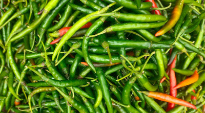 ঝাল কমাতে সোনা মসজিদ দিয়ে এলো ৫৬ টন কাঁচামরিচ 