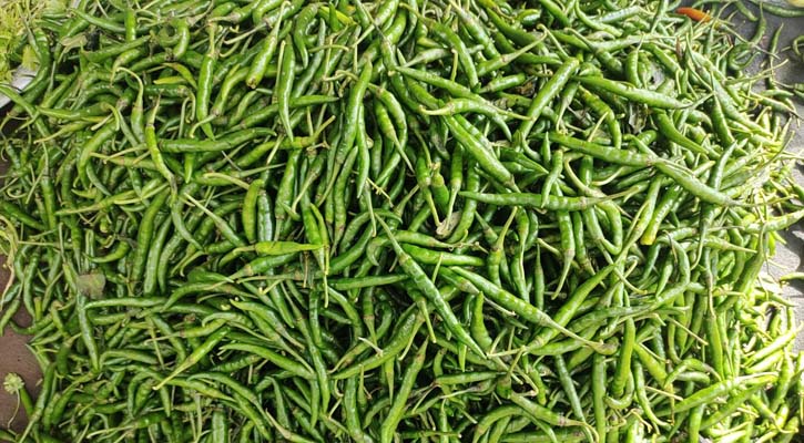 কাঁচামরিচের দাম কমলো কেজিতে ২০০ টাকা